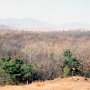 Seoul, South Korea - DMZ - Joint Security Area - Mine Field